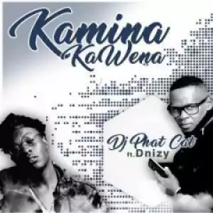 DJ Phat Cat - Kamina Kawena (ft. Dnizy)